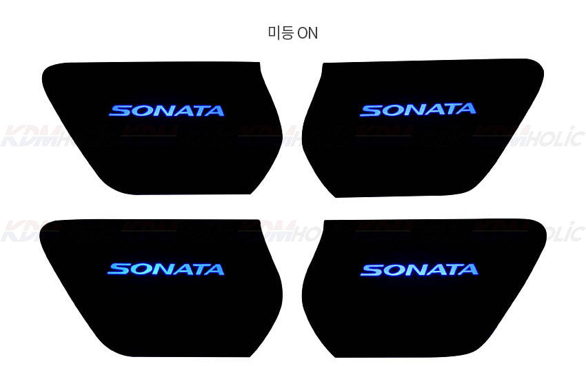 Hyundai Sonata LED Door Catch Plate Kit for Model Years 2018~2019 by Easy LED6