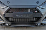 Hyundai Veloster Turbo Grille Direct Replacement Radiator Grille ROADRUNS5