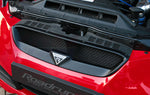 Hyundai Genesis Coupe BK1 Grille Roadruns KDMHolic 7