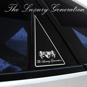 Luxury Generation C-Pillar Applique for Hyundai Elantra (Avante HD) 2007~2010